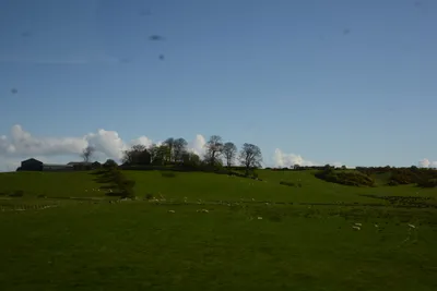 DSC_7218 (Large).JPG